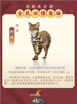顶峰天龙八部私服